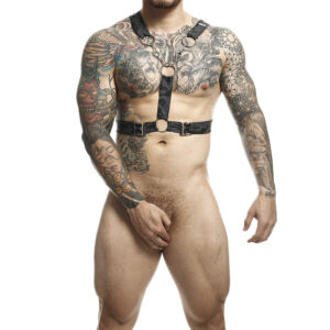 Malebasics Nero - Harness Bondage Regolabile Argento con Catene Tag...